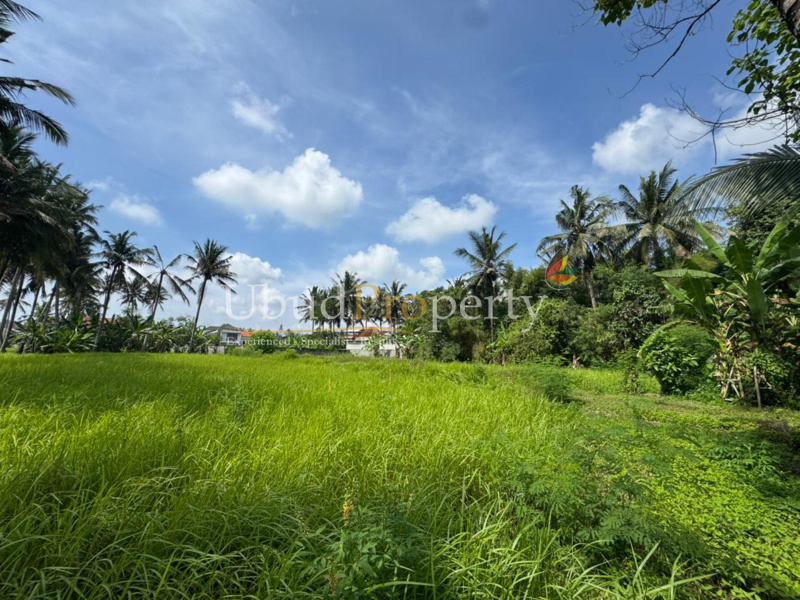 Ubud Property Land For Sale in Ubud Bali
